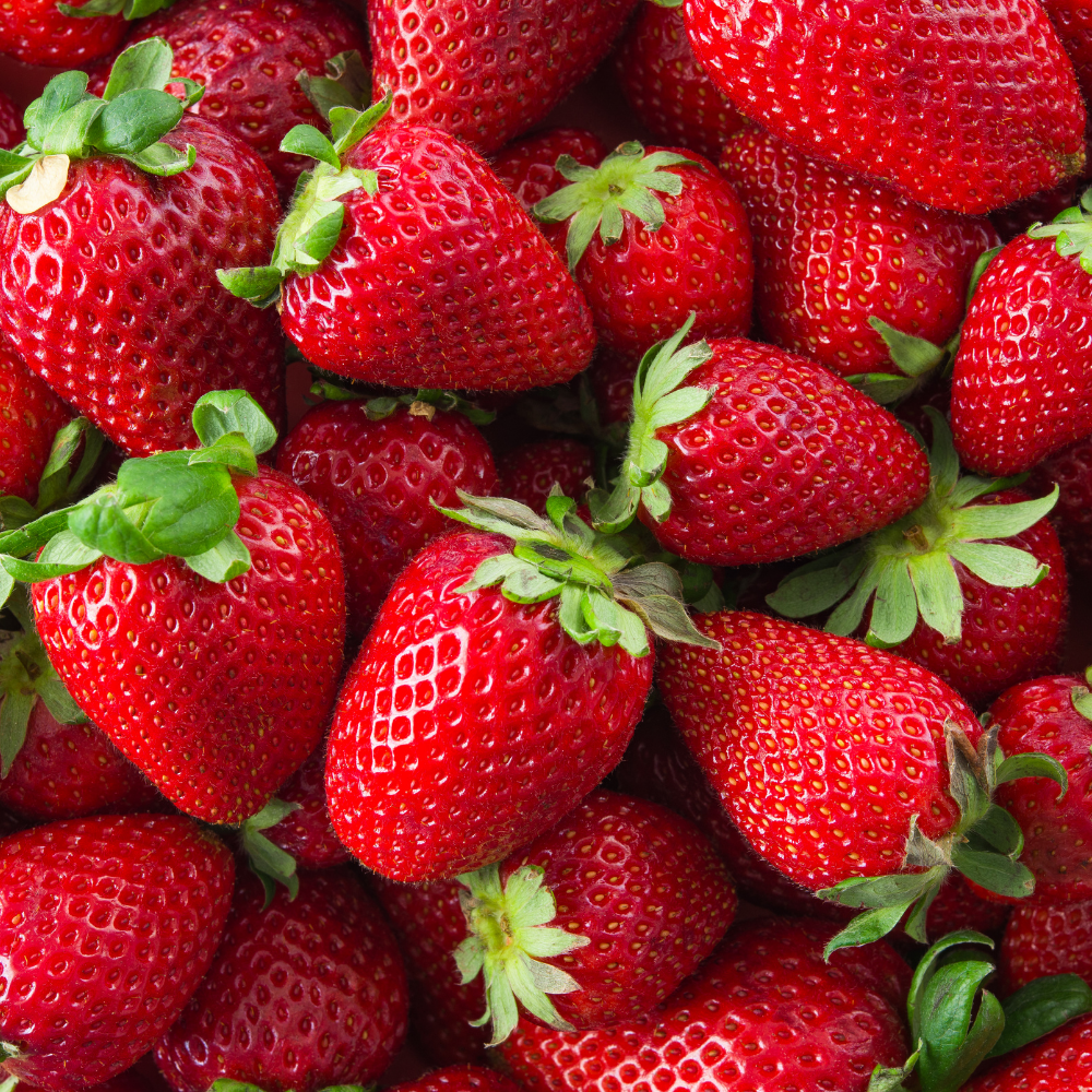 SORBET FRAISE ARTISANAL (BAC 2.5L)