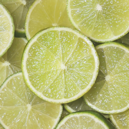 SORBET CITRON VERT ARTISANAL (BAC 2.5L)