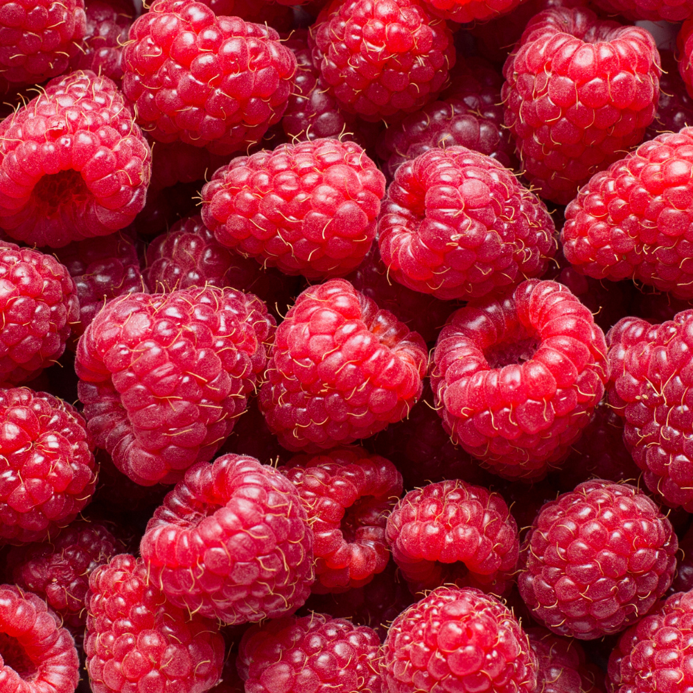 SORBET FRAMBOISE ARTISANAL (BAC 2.5L)